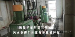 污水處理廠壓濾機(jī)專用泵柱塞泵替換螺桿泵